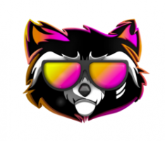 rocketraccoon.us