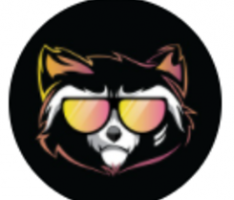 rocketraccoon.finance