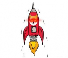 rocketshib.io