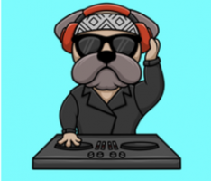 rockstar-doge.com