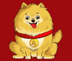 rockyinu.com