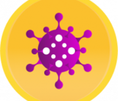 rushtechnology.io