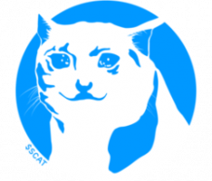 sadcattoken.army