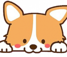 safebabyshiba.tech