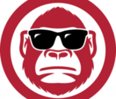 safe-ape.com