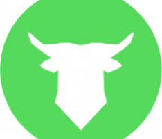 safe-bull.com