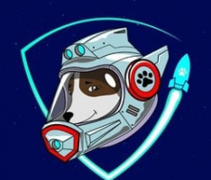 safedogprotocol.com