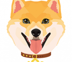 safedoge.dog