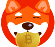 safe-shiba.net