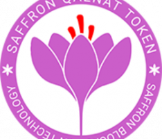 qaenatsaffron.com