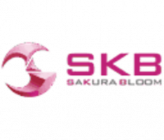 skb-coin.jp