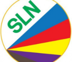 salanests.com