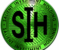 salientinvestmentholding.com
