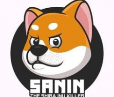 sanininu.com