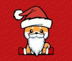 santainubsc.com