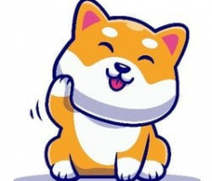 savebabydoge.com