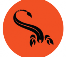 thescorpioncoin.com