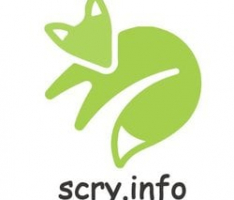 home.scry.info