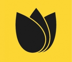 sesameseed.org