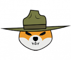 sgtshib.com