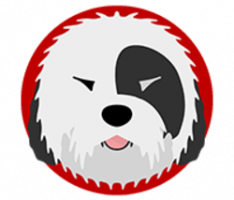shaggytoken.com