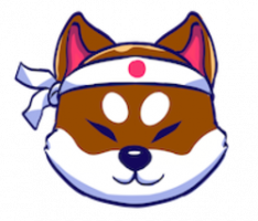shakitainu.com