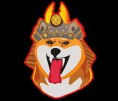 shamantokenofficial.io