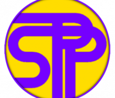 shapepay.net