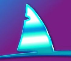sharkrace.com