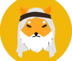 sheikhinu.io