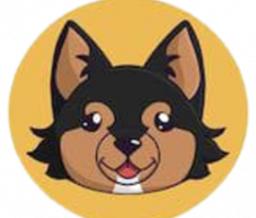 shinu.io