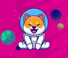 shiba-cosmos.tech