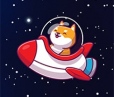 shibalaunch.com
