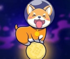 shibamoon.co