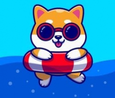 shibaswim.com