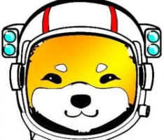 shibaxdefi.com