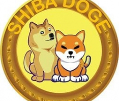 realshibadoge.com