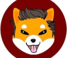 shibaelonverse.com