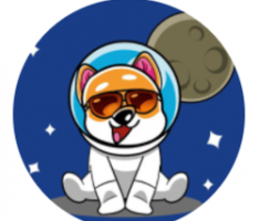 shibanaut.net
