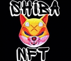 shibanft.co.uk