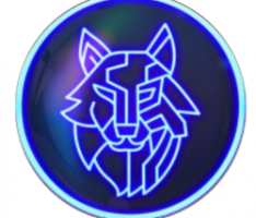 shibanova.io