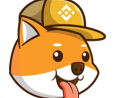 shibarocket.dog