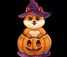 shibboo.com