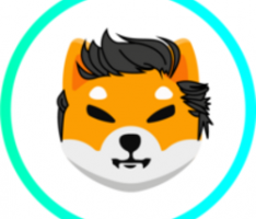 shibelon.net