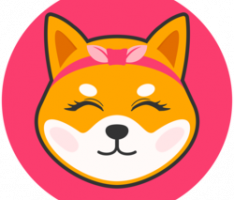 shibgftoken.com