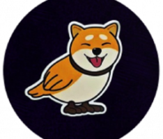 shibird.com
