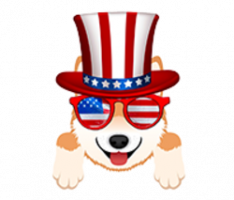 shibamerican.com