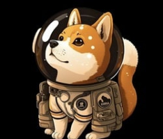 shibnaut.io
