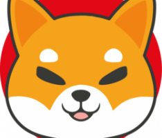 shiboki.com
