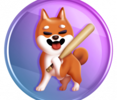 shibonkcoin.com